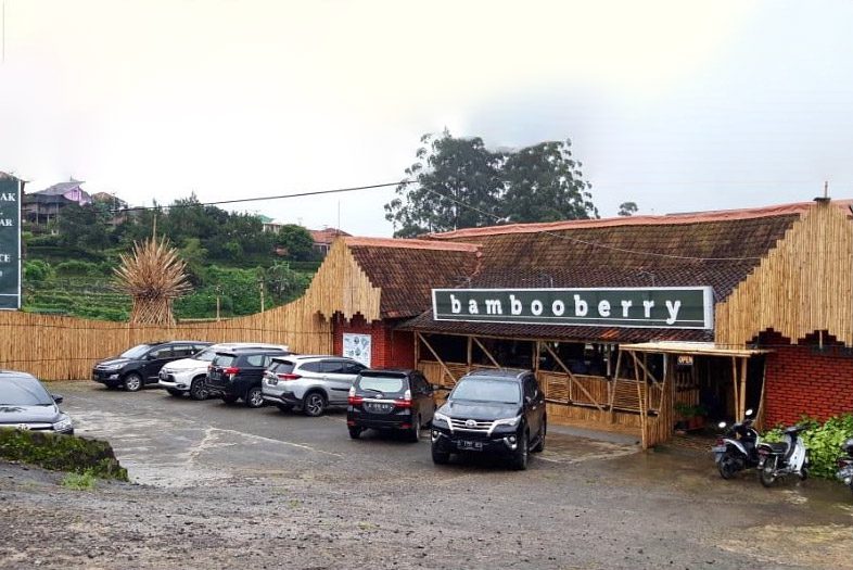 Bamboo Berry
